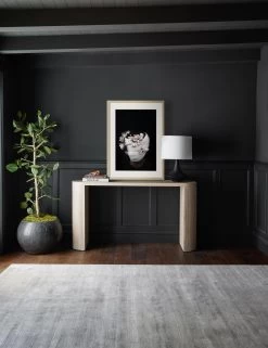 Nambi: Pose II, WOVEN Series Photography Print By Ashley Johnson -Wall Decoration Shop 20210526 ConsoleArtVignette 7204 NOART