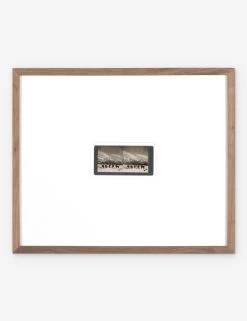 Monarch Of The Plain Photography Print By Gold Rush Art Co