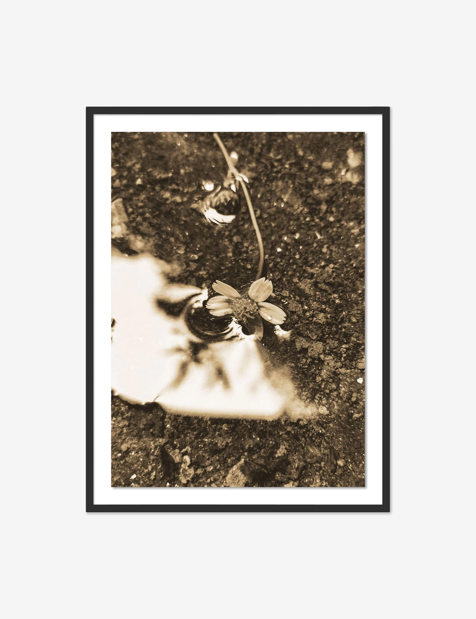 After The Rain II Photography Print By Getty Images 1 After The Rain II Photography Print By Getty Images