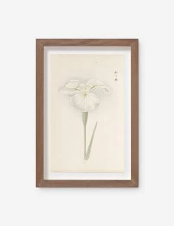 Vintage Japanese Iris No. 10 Wall Art By Miyoshi Manabu