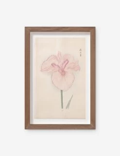 Vintage Japanese Iris No. 16 Wall Art By Miyoshi Manabu