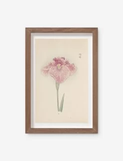 Vintage Japanese Iris No. 19 Wall Art By Miyoshi Manabu