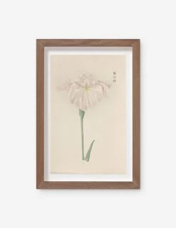 Vintage Japanese Iris No. 22 Wall Art By Miyoshi Manabu
