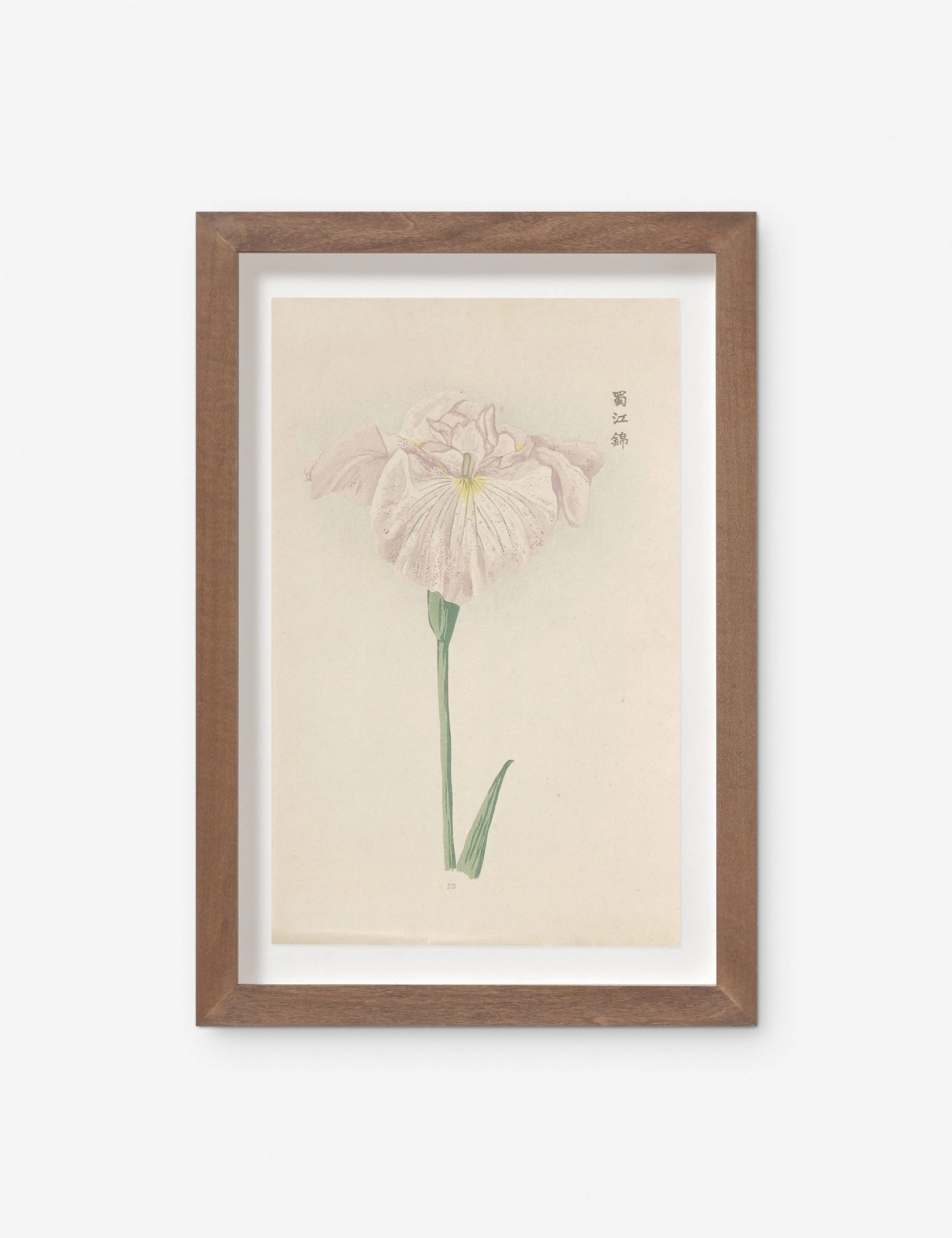 Vintage Japanese Iris No. 22 Wall Art By Miyoshi Manabu