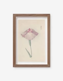 Vintage Japanese Iris No. 25 Wall Art By Miyoshi Manabu