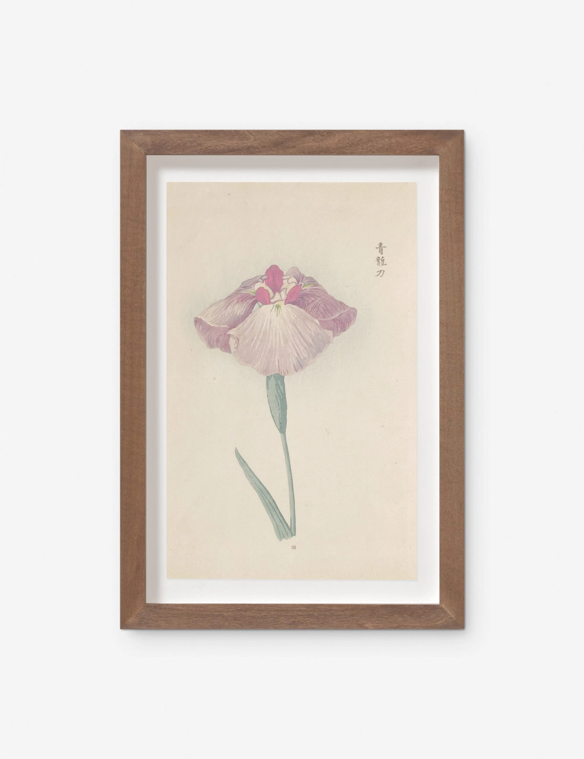 Vintage Japanese Iris No. 25 Wall Art By Miyoshi Manabu 1 Vintage Japanese Iris No. 25 Wall Art By Miyoshi Manabu