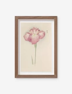 Vintage Japanese Iris No. 26 Wall Art By Miyoshi Manabu