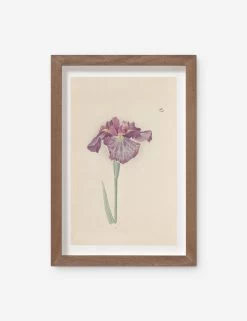 Vintage Japanese Iris No. 28 Wall Art By Miyoshi Manabu