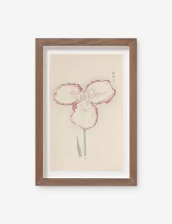Vintage Japanese Iris No. 30 Wall Art By Miyoshi Manabu