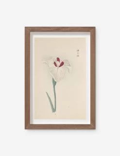 Vintage Japanese Iris No. 31 Wall Art By Miyoshi Manabu