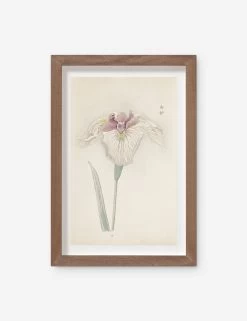 Vintage Japanese Iris No. 33 Wall Art By Miyoshi Manabu