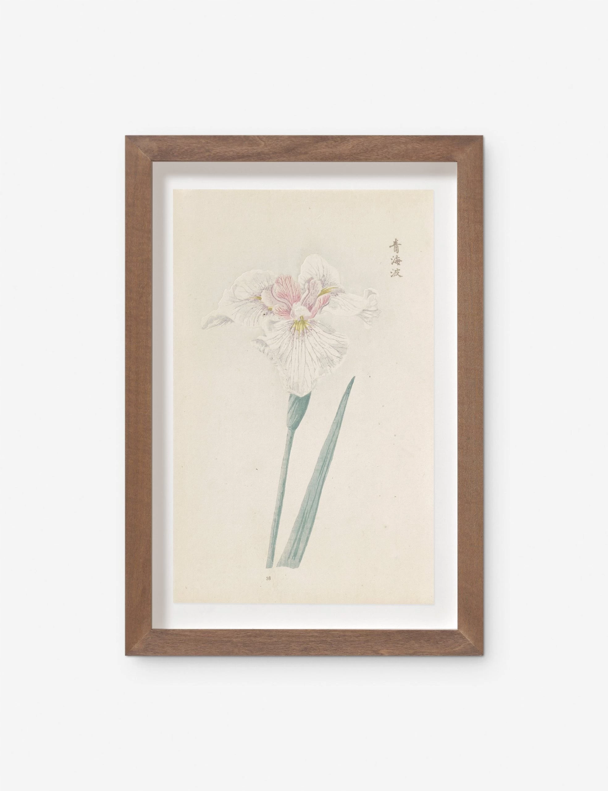 Vintage Japanese Iris No. 36 Wall Art By Miyoshi Manabu
