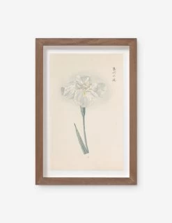 Vintage Japanese Iris No. 44 Wall Art By Miyoshi Manabu