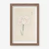 Vintage Japanese Iris No. 48 Wall Art By Miyoshi Manabu