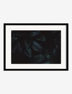 Still Life 3 Photography Print By Ashley Johnson