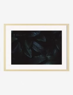 Still Life 3 Photography Print By Ashley Johnson -Wall Decoration Shop AshleyJohnsonStillLIfePack7 3naturalframe