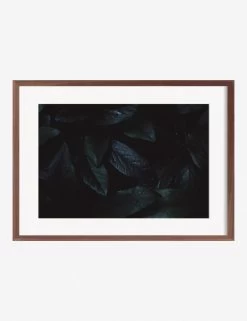 Still Life 3 Photography Print By Ashley Johnson -Wall Decoration Shop AshleyJohnsonStillLIfePack7 3walnutframe