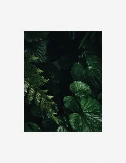 Still Life 14 Photography Print By Ashley Johnson 12 Still Life 14 Photography Print By Ashley Johnson -Wall Decoration Shop AshleyJohnsonStillLifePack7 14unframed