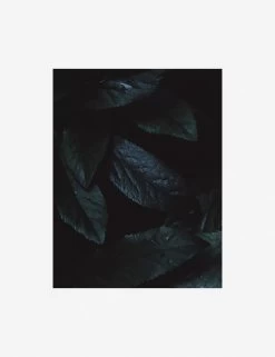 Still Life 3 Photography Print By Ashley Johnson -Wall Decoration Shop AshleyJohnsonStillLifePack7 3unframed