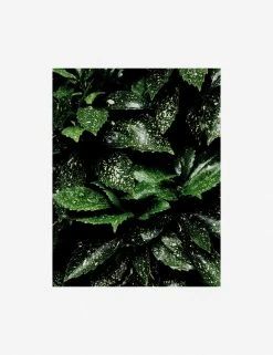 Still Life 7 Photography Print By Ashley Johnson -Wall Decoration Shop AshleyJohnsonStillLifePack7 7unframed