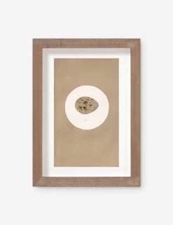 Vintage Bird Watercolor No. 185 Wall Art By Visual Contrast