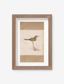 Vintage Bird Watercolor No. 61 Wall Art By Visual Contrast