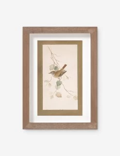 Vintage Bird Watercolor No. 74 Wall Art By Visual Contrast