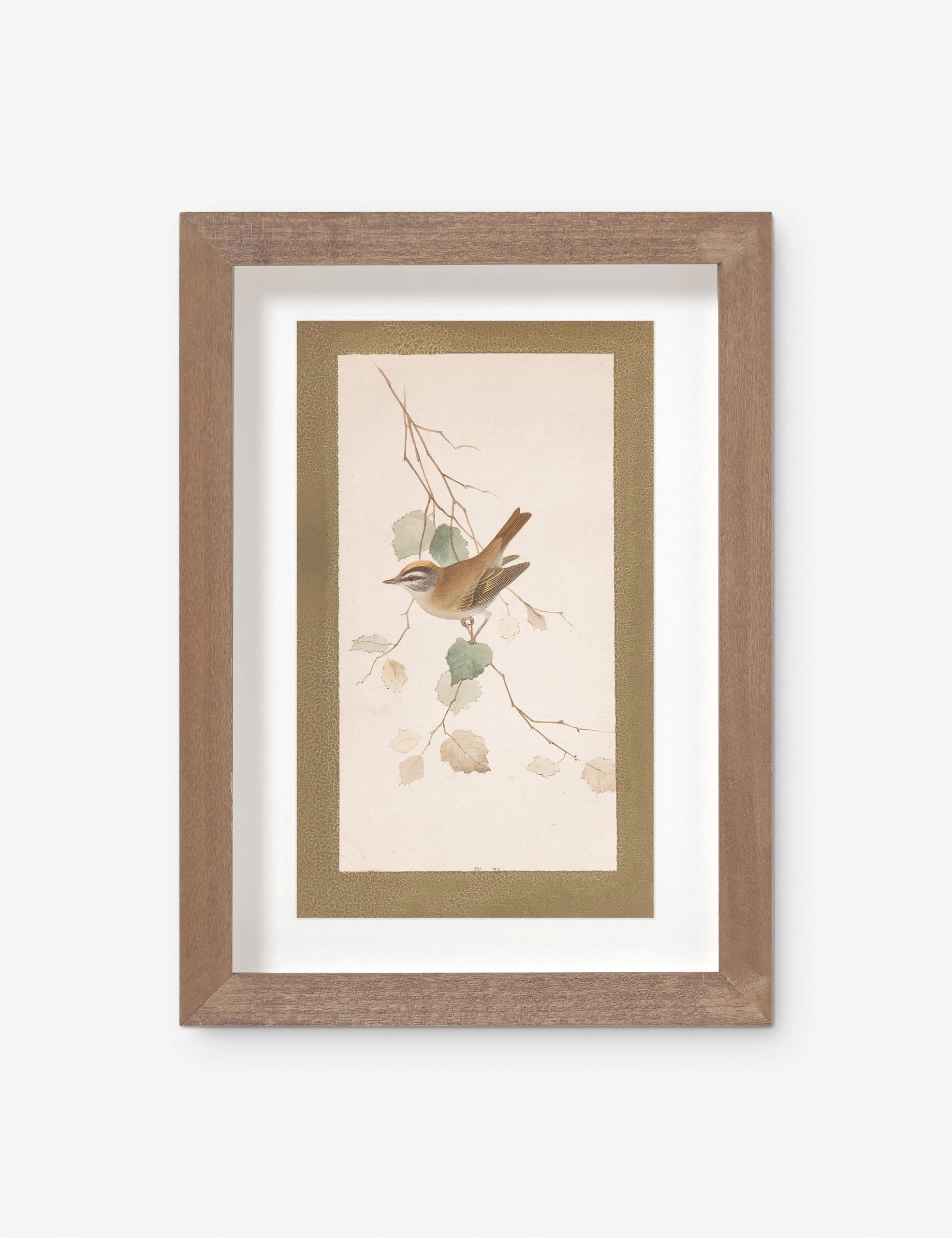 Vintage Bird Watercolor No. 74 Wall Art By Visual Contrast