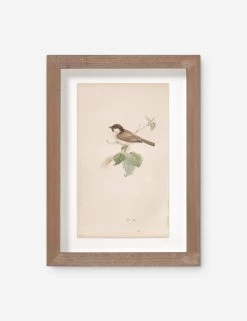 Vintage Bird Watercolor No. 78 Wall Art By Visual Contrast