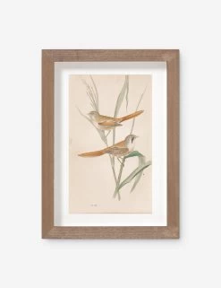 Vintage Bird Watercolor No. 82 Wall Art By Visual Contrast