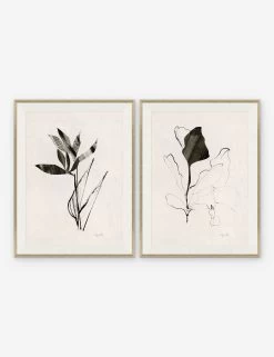 Noir I & II Print By Yuki Osada (Set Of 2)