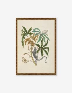 Cassava With White Peacock Butterfly And Young Golden Tegu Wall Art By Maria Sibylla Meria