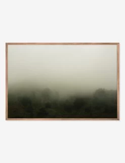 Norcal 10 Photography Print By Flavia Cureteu