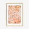 Pastel Fall Tree Photography Print By Ingrid Beddoes