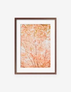 Pastel Fall Tree Photography Print By Ingrid Beddoes -Wall Decoration Shop IngridPastelFallTreeWalnutFrame