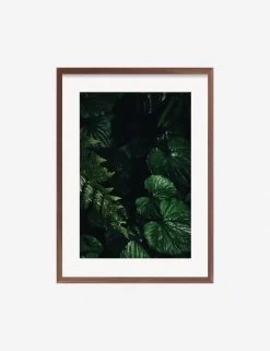 Still Life 14 Photography Print By Ashley Johnson 10 Still Life 14 Photography Print By Ashley Johnson -Wall Decoration Shop JohnsonStillLIfepack7 14Walnutframe