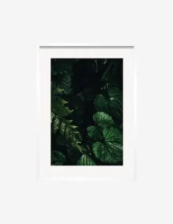 Still Life 14 Photography Print By Ashley Johnson 11 Still Life 14 Photography Print By Ashley Johnson -Wall Decoration Shop JohnsonStillLIfepack7 14Whiteframe
