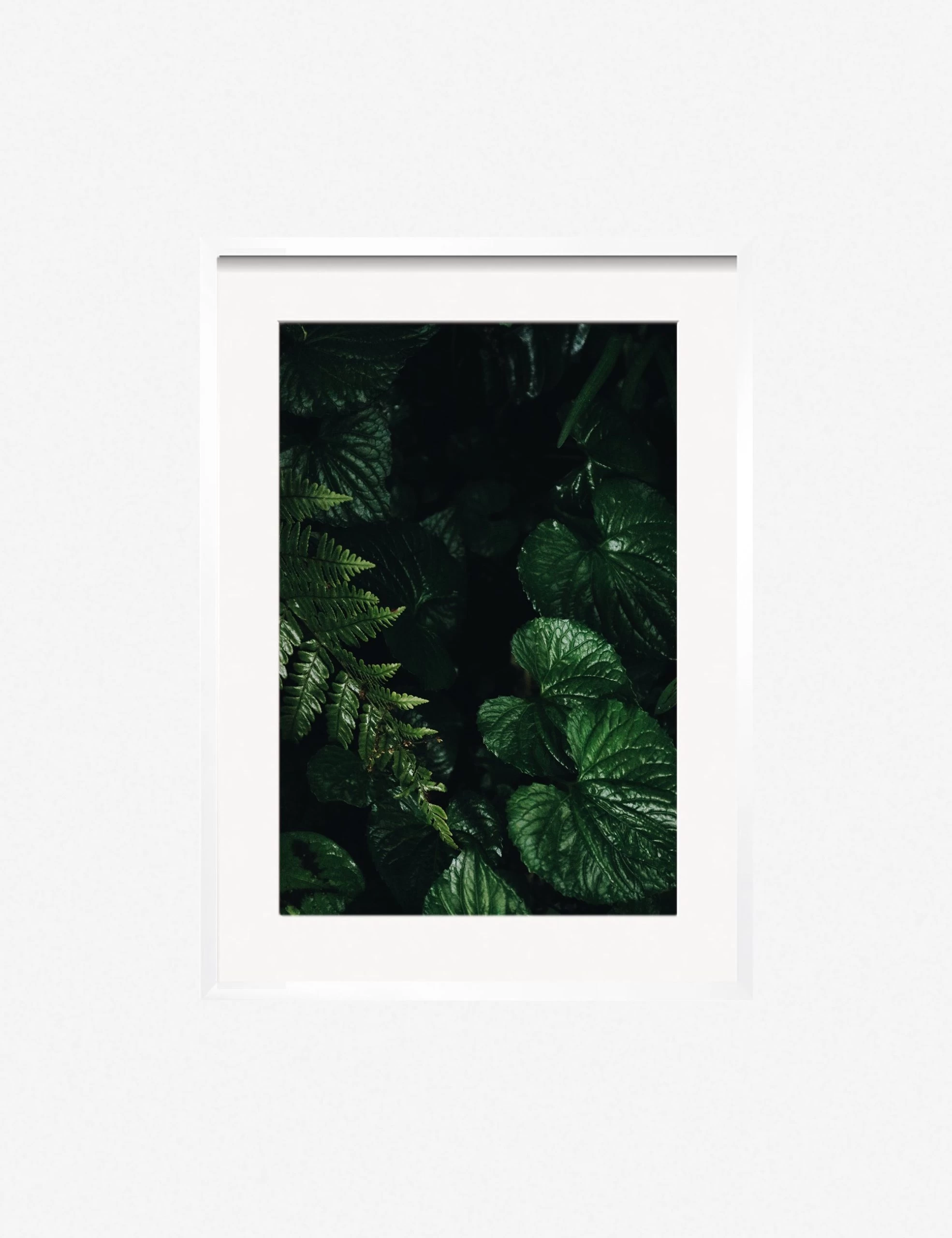 Still Life 14 Photography Print By Ashley Johnson 5 Still Life 14 Photography Print By Ashley Johnson - Image 5