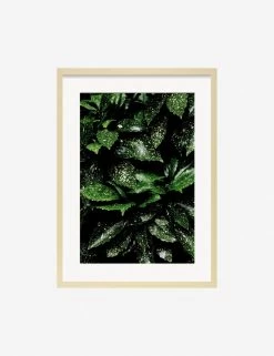 Still Life 7 Photography Print By Ashley Johnson -Wall Decoration Shop JohnsonStillLifePack7 7naturalframe