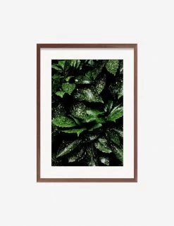 Still Life 7 Photography Print By Ashley Johnson -Wall Decoration Shop JohnsonStillLifePack7 7walnutframe