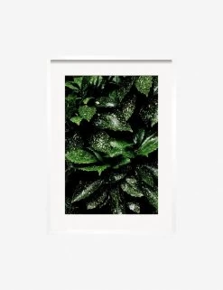 Still Life 7 Photography Print By Ashley Johnson -Wall Decoration Shop JohnsonStillLifePack7 7whiteframe