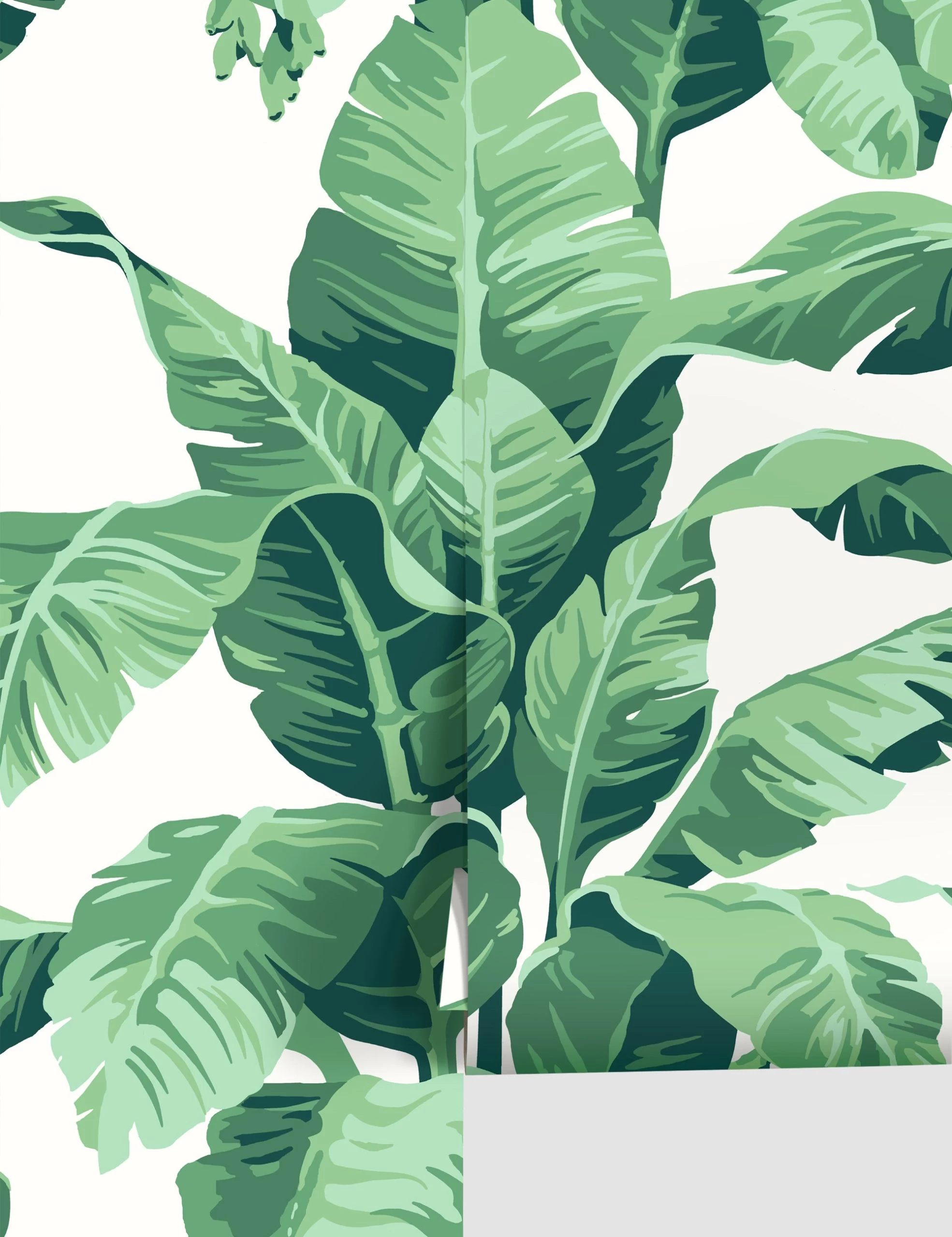 Pacifico Palm Wallpaper By Nathan Turner 1 Pacifico Palm Wallpaper By Nathan Turner