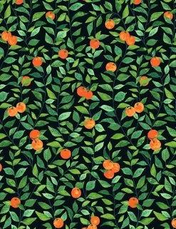 Orange Crush Wallpaper By Nathan Turner